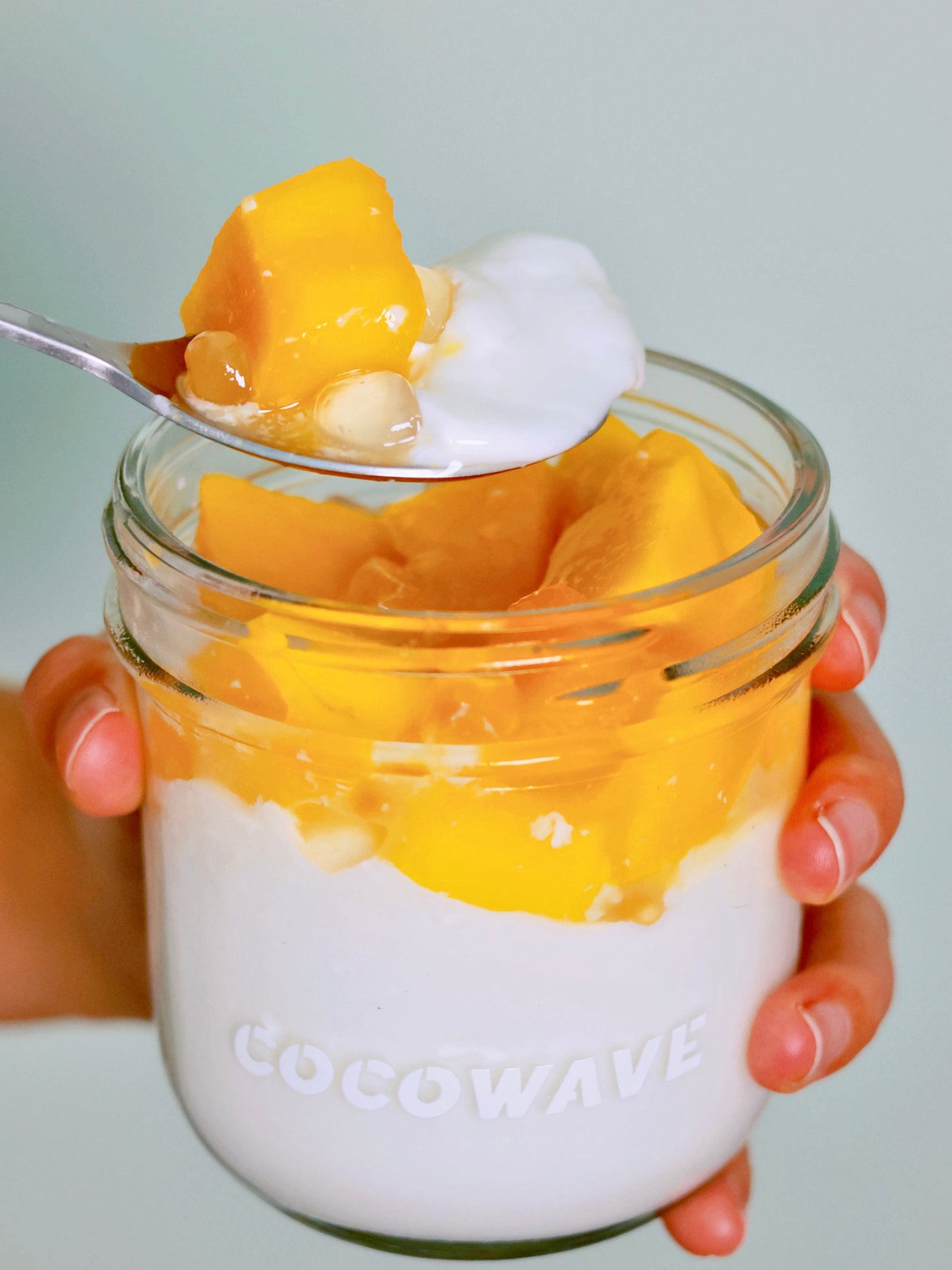 多肉芒芒鲜椰冻Mango Coconut Pudding